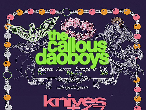 THE CALLOUS DAOBOYS, KNIVES, FALL FROM EVEREST - info