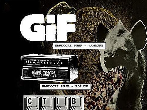 GIF, CTIB, INNOXIA CORPORA, PŘEPLESK - info